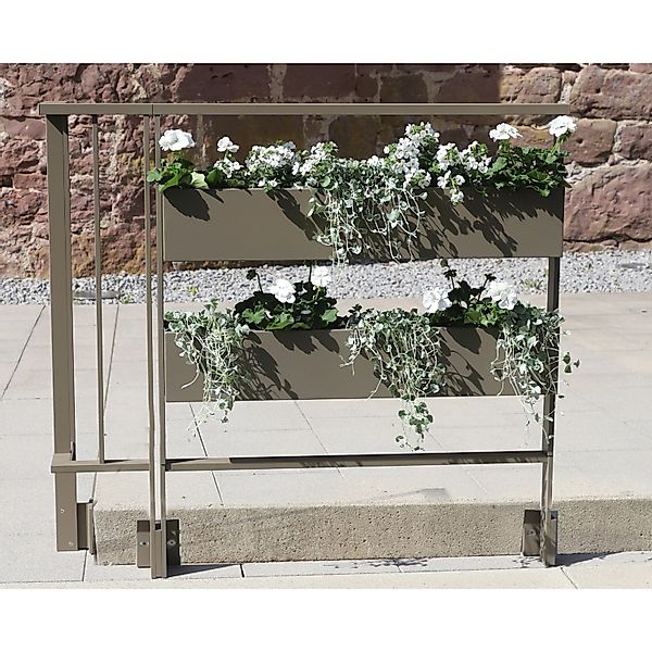 Dieda Linus Blumenkasten Füllung Eckig Aluminium 100 cm x 100 cm Taupe günstig online kaufen