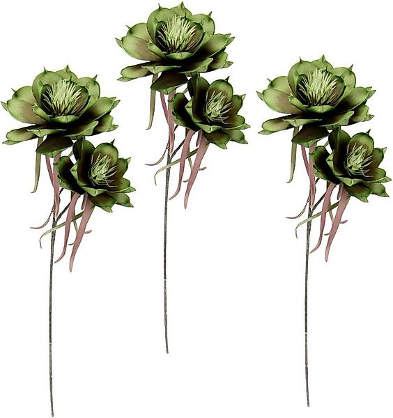 Kunstblume Soft-Magnolie, I.GE.A., Höhe 84 cm, 3er Set günstig online kaufen