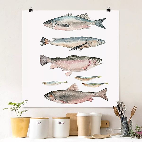 Poster Tiere - Quadrat Sieben Fische in Aquarell I günstig online kaufen