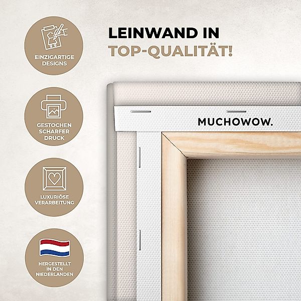 OneMillionCanvasses® Leinwandbild Llama - Tiere - günstig online kaufen