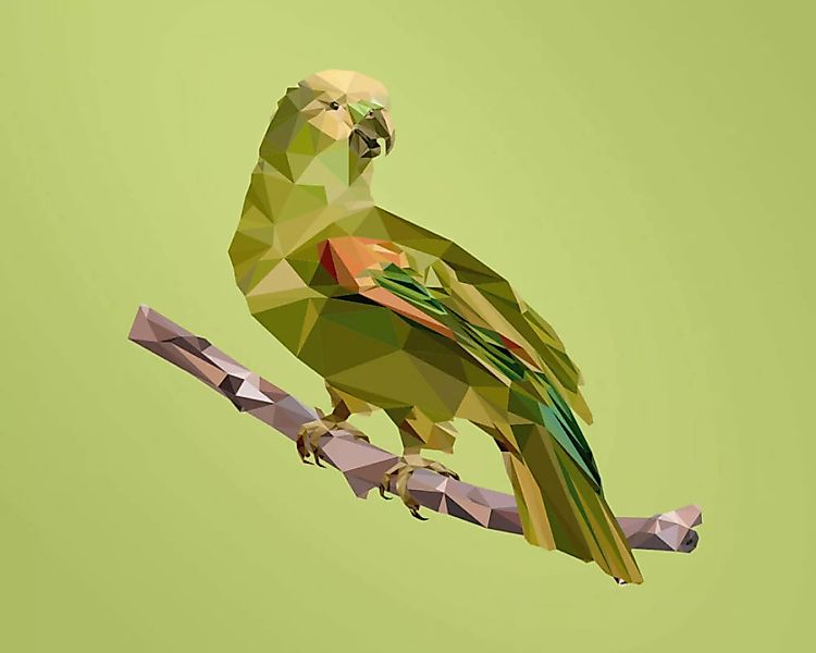 Fototapete "PapageiPolygon" 4,00x2,50 m / Strukturvlies Klassik günstig online kaufen