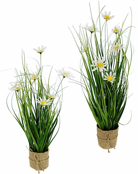 I.GE.A. Kunstgras "Gasbusch", mit Margeritenblüten und Band, in Jutetopf, 2 günstig online kaufen