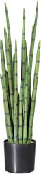 Kunstpflanze Sanseveria, Creativ green, Höhe 100 günstig online kaufen