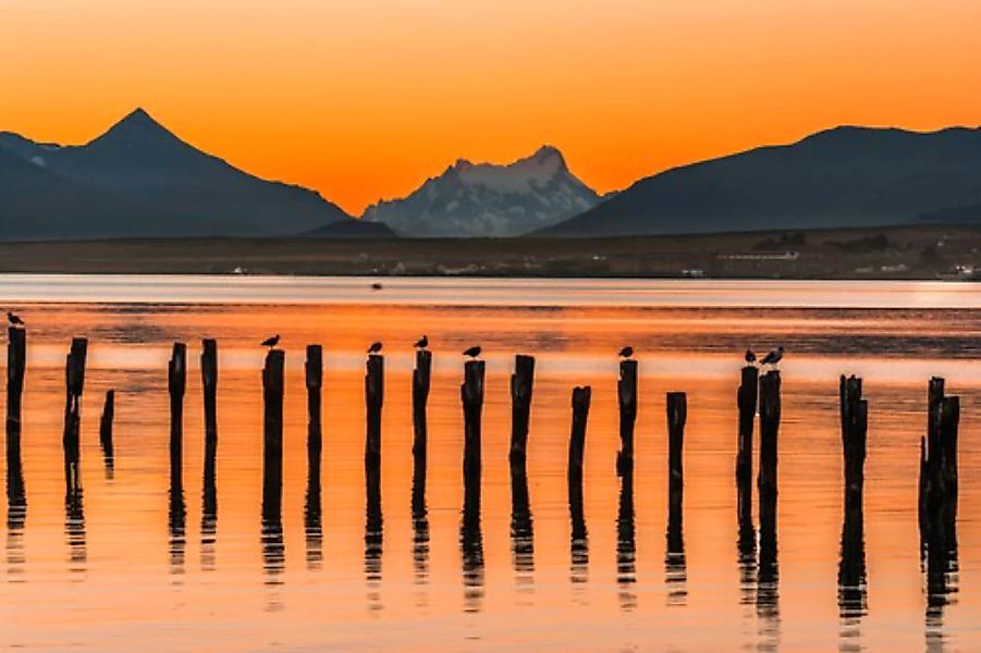 Papermoon Fototapete »PUERTO NATALES-CHILE SEE GEBIRGE BLUMEN SONNE WALD ST günstig online kaufen