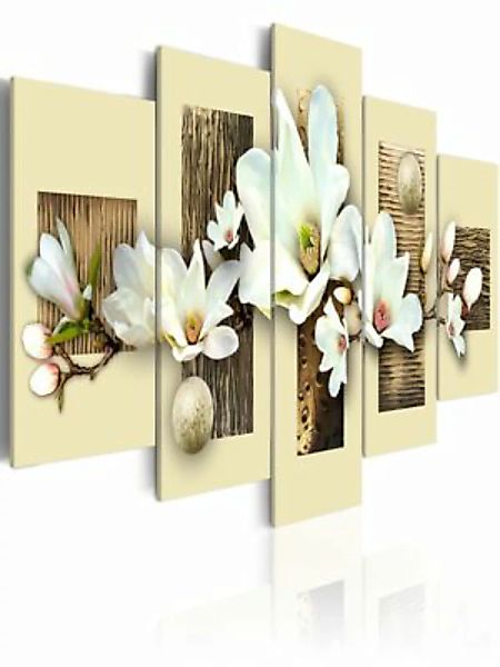 artgeist Wandbild Textur und Magnolia mehrfarbig Gr. 200 x 100 günstig online kaufen