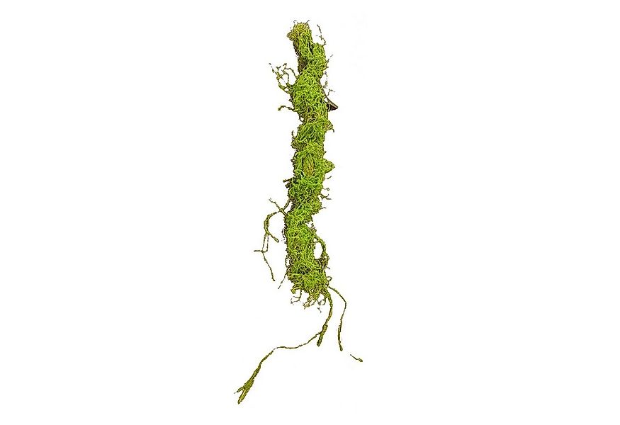 Kunstblume Moos Girlande 110 cm Kunstpflanze Flora Moos, HTI-Living, Höhe 1 günstig online kaufen