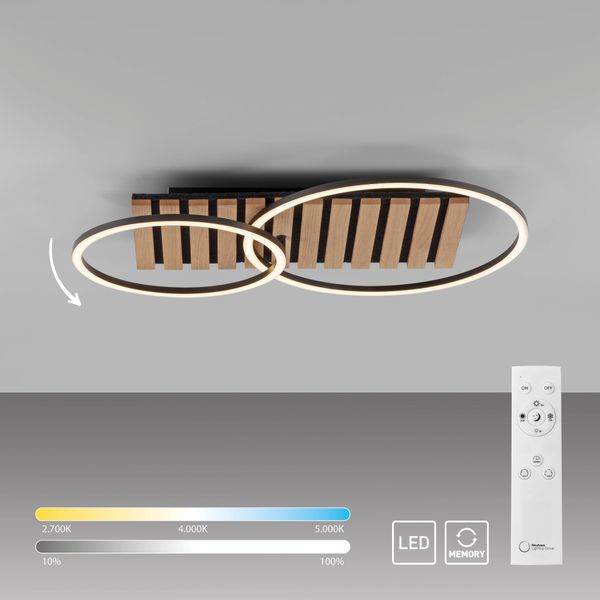 my home Deckenleuchte Unnestad Akustikpaneele, CCT günstig online kaufen