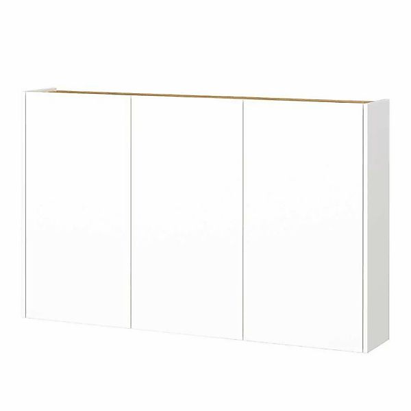 Schuhschrank Wandschrank mit Drehtüren für die Wandmontage günstig online kaufen