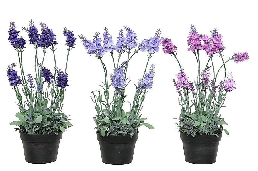 Kunstpflanze Lavendel im Topf Deko Kunstblume günstig online kaufen