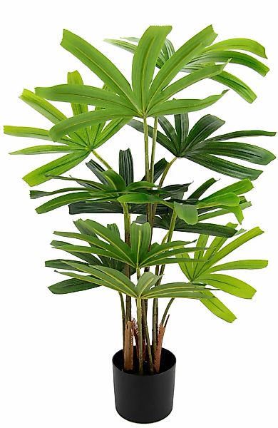 I.GE.A. Kunstbaum »Palme Rhapis im Topf Künstliche Palme Excelsa Steckenpal günstig online kaufen