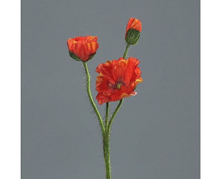 Kunstblume Mohnzweig mit 2 Blüten und 1 Knospe 56cm DP Blumen künstlicher P günstig online kaufen