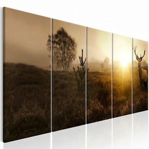 artgeist Wandbild Foggy Morning I mehrfarbig Gr. 200 x 80 günstig online kaufen