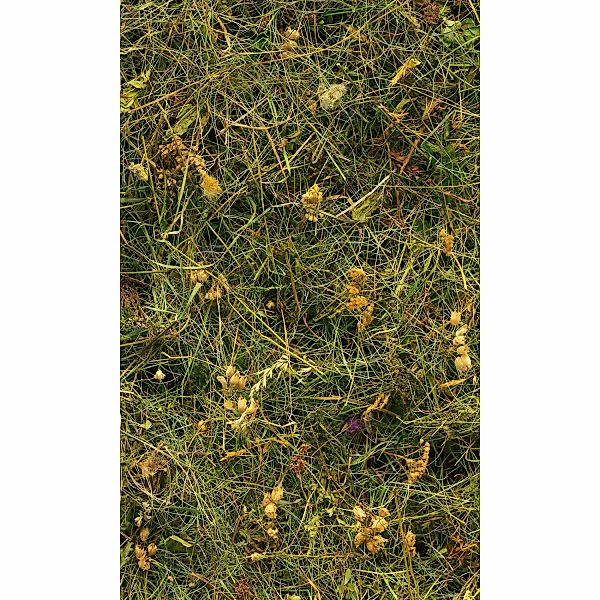 Komar Fototapete Vlies Bergheu  150 x 250 cm günstig online kaufen