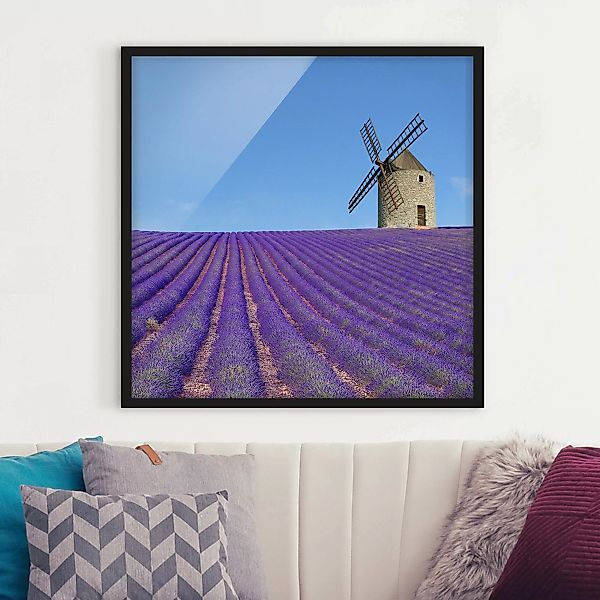 Bild mit Rahmen Architektur & Skyline - Quadrat Lavendelduft in der Provenc günstig online kaufen