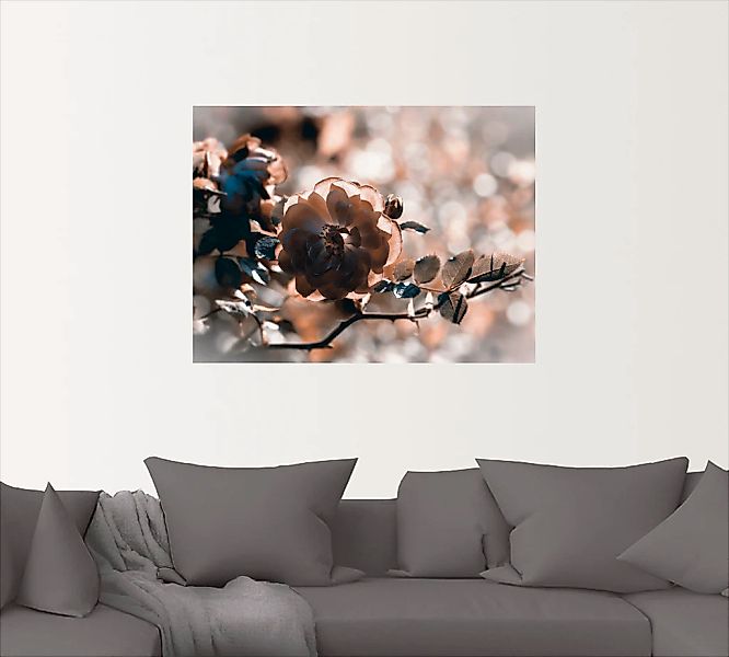 Artland Wandbild "Rose", Blumen, (1 St.), als Leinwandbild, Wandaufkleber i günstig online kaufen