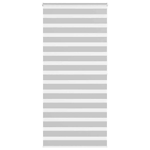 vidaXL Doppelrollo Hellgrau 100x200 cm Stoffbreite 95,9 cm Polyester 401446 günstig online kaufen