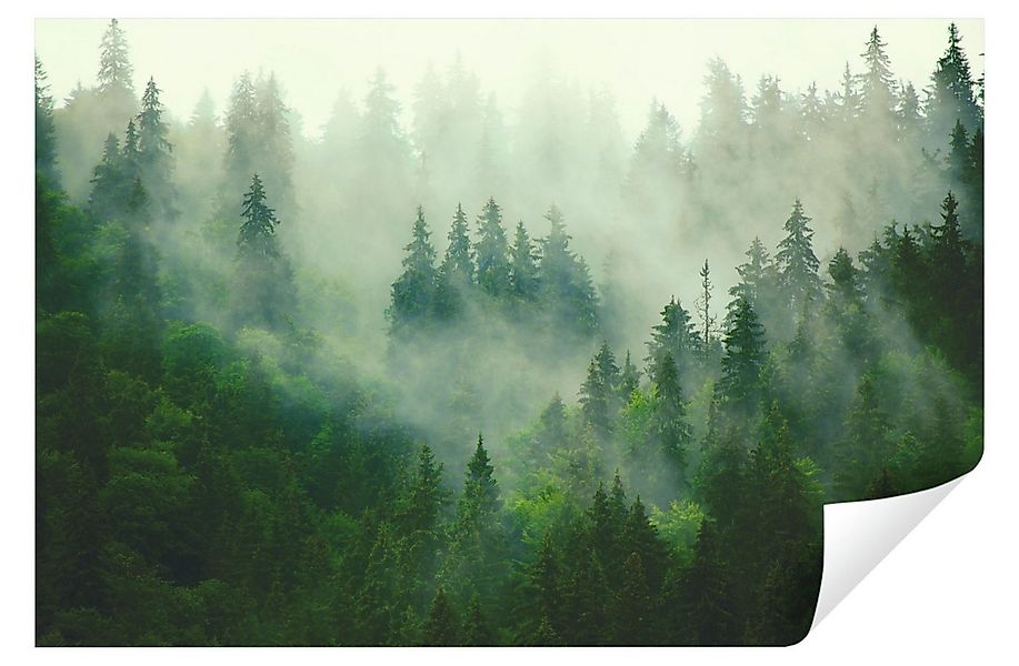 Wallarena Fototapete Wald im Nebel Natur 3D EFFEKT Vlies Tapete Wohnzimmer günstig online kaufen