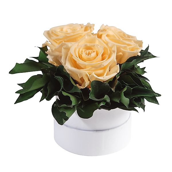 Kunstblume Rosenbox weiß rund 3 echte günstig online kaufen