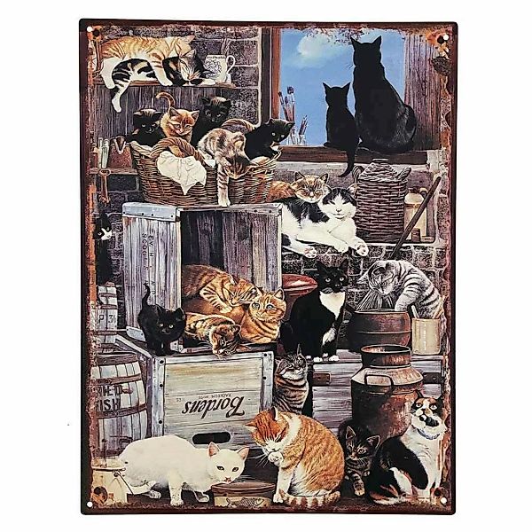 Blechschild CATS Dekoschild Katzen Schild Nostalgie Vintage 33x25cm günstig online kaufen