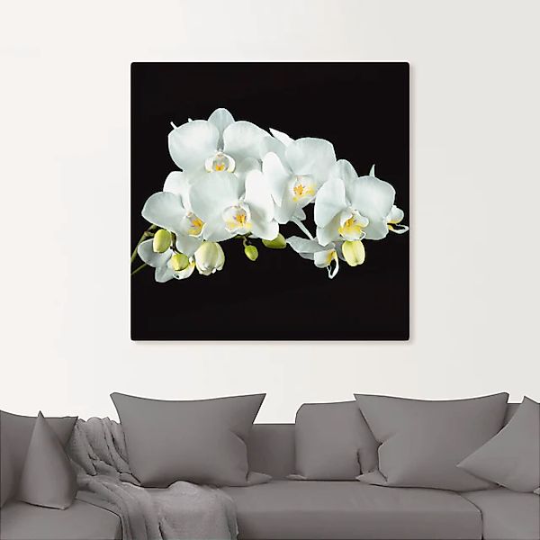 Artland Wandbild »Weiße Orchidee auf schwarzem Hintergrund« 1 Stk. tlg. als günstig online kaufen