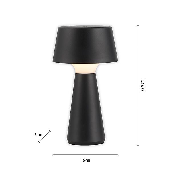 JUST LIGHT Tischleuchte »ABERA«, 1 flammig, Leuchtmittel LED-Modul   LED fe günstig online kaufen