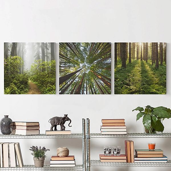 3-teiliges Leinwandbild Wald - Quadrat Wald Trio günstig online kaufen