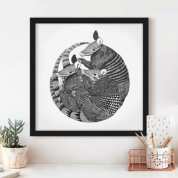 Bild mit Rahmen - Quadrat Illustration Gürteltiere Schwarz Weiß Muster günstig online kaufen