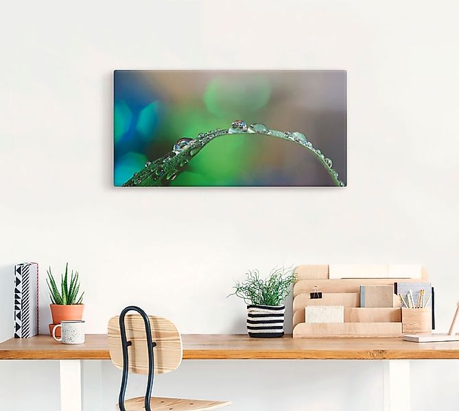 Artland Leinwandbild »Wassertropfen IV«, Gräser, (1 St.), auf Keilrahmen ge günstig online kaufen