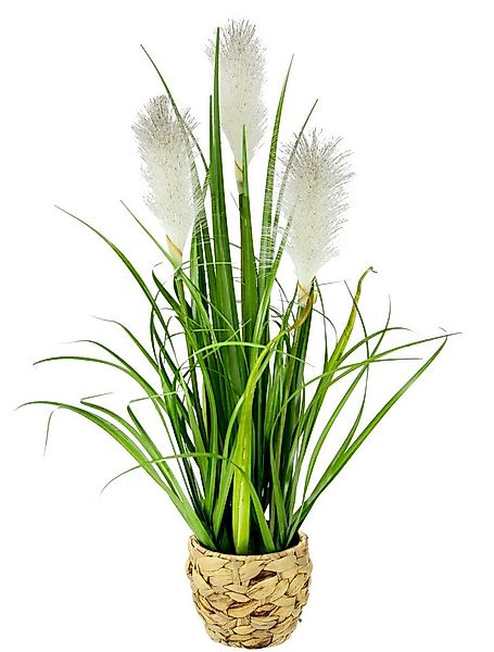 Kunstpflanze Pampasgras, I.GE.A., Höhe 55 cm, Mit Übertopf, künstliches Pam günstig online kaufen