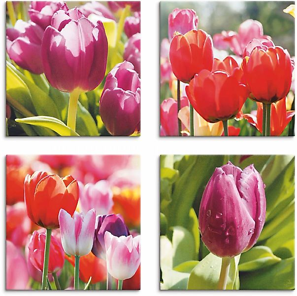 Artland Leinwandbild "Frühling und Tulpen" Blumen 4 Stk. tlg. 4er Set, vers günstig online kaufen