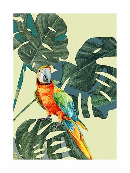 Komar Bild "Green-Winged Macaw" Natur 1 Stk. tlg. Wandbild zur Dekoration - günstig online kaufen