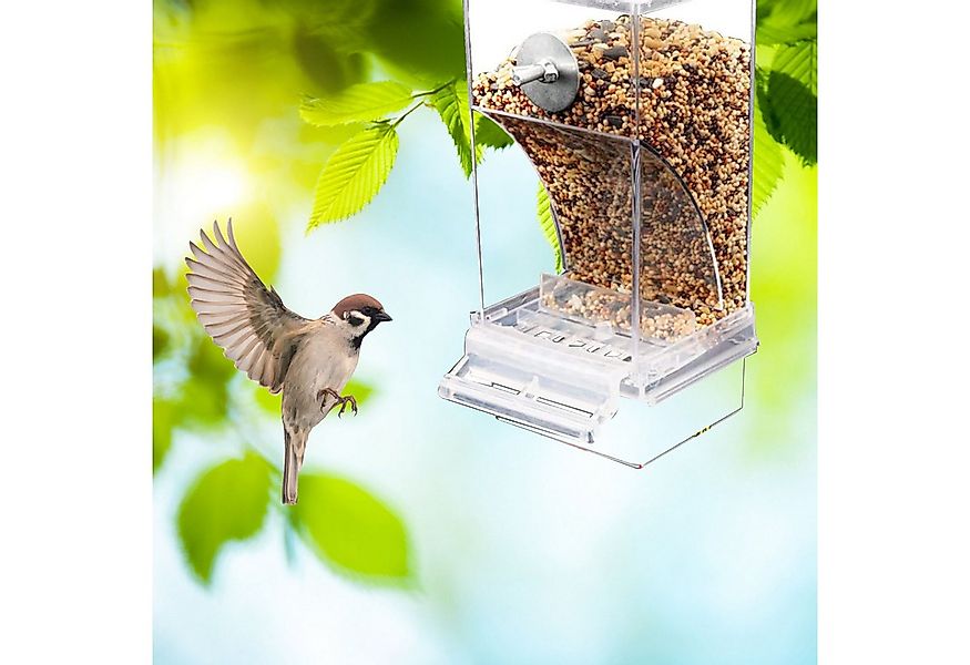 Vellora Futterstation Vogelfutterbox, Spritzschutz, automatischer Vogelfutt günstig online kaufen