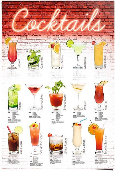 Reinders Poster "Cocktails Rezepte" 1 Stk. tlg. günstig online kaufen