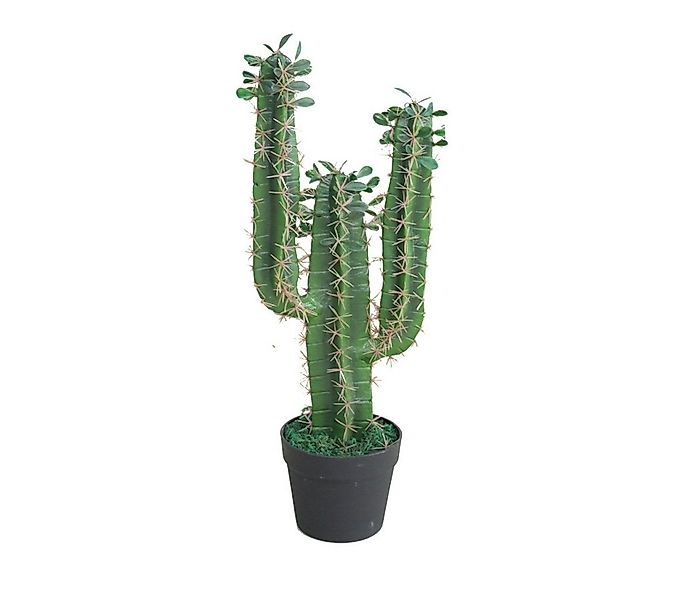 Kunstkaktus SMARAGDLINE Künstliche Kakteen - Sukkulenten in verschiedenen G günstig online kaufen