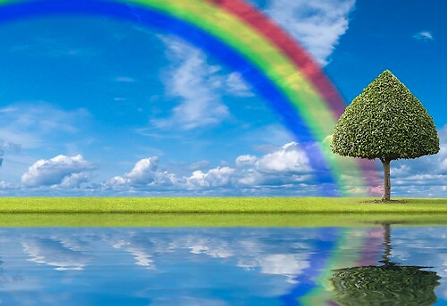 Papermoon Fototapete »regenbogen Wiese« günstig online kaufen