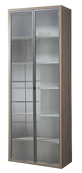 Composad Aktenschrank "DISEGNO, Bücherregal mit 2 Glastüren,", verstellbare günstig online kaufen