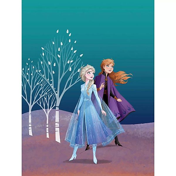 Komar Wandbild Frozen Sisters Disney B/L: ca. 30x40 cm günstig online kaufen