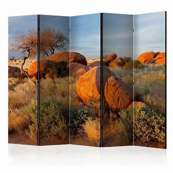 artgeist Paravent African landscape, Namibia II [Room Dividers] mehrfarbig günstig online kaufen