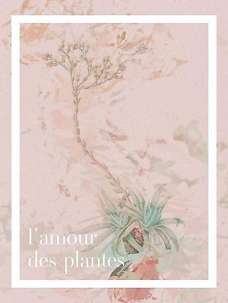 Komar Wandbild "Lamour des plantes", (1 St.), Deutsches Premium-Poster Foto günstig online kaufen