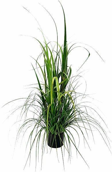 I.GE.A. Kunstpflanze "Gras im Topf" günstig online kaufen