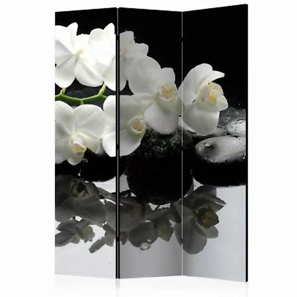 artgeist Paravent Spa, Stones and Orchid [Room Dividers] mehrfarbig Gr. 135 günstig online kaufen