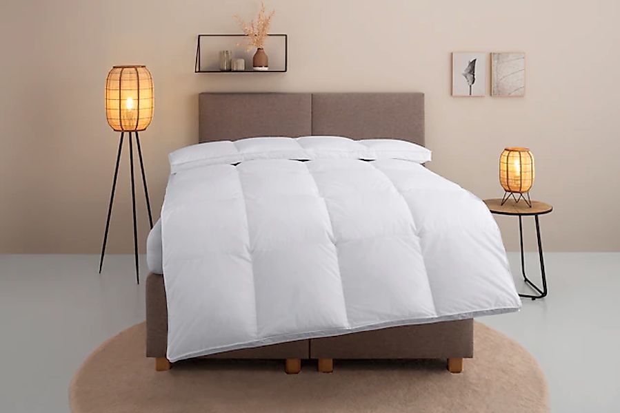 OTTO home Daunenbettdecke "Chevillon Bettdecke 135x200 cm, 155x220 cm und w günstig online kaufen