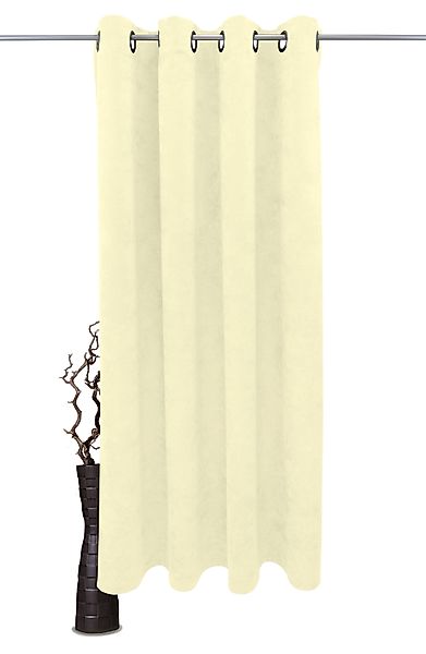 VHG Vorhang Velvet, Ösen (1 St), günstig online kaufen
