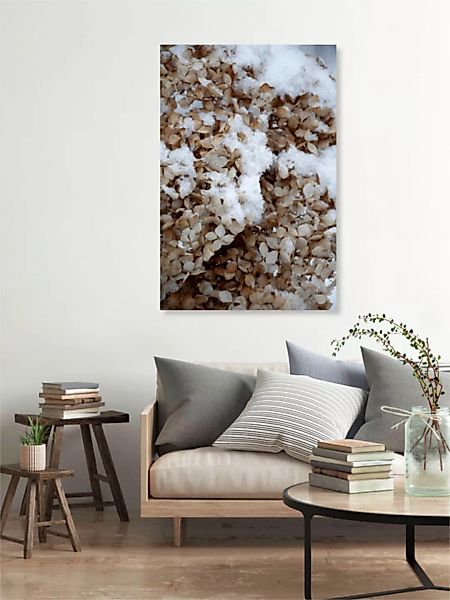 Poster / Leinwandbild - Snowy Hydrangea Flowers 2 Of 2 - Hortensie günstig online kaufen