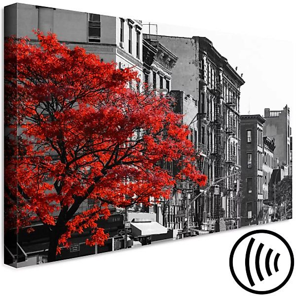 Wandbild Autumn in New York (1 Part) Wide XXL günstig online kaufen