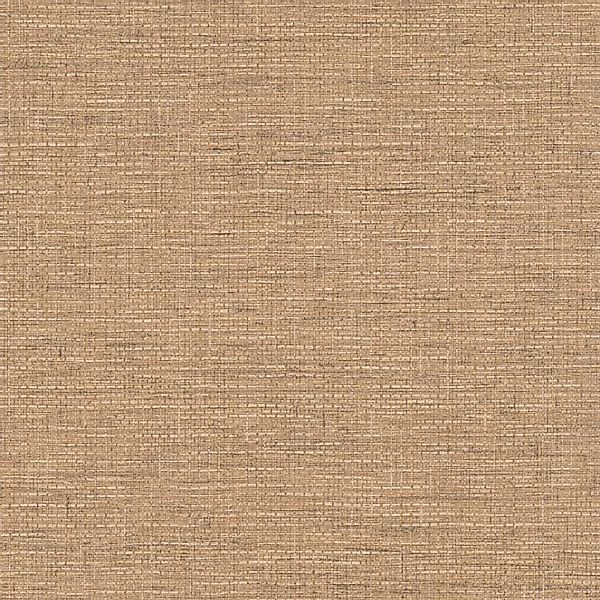 Livingwalls Tapete Uni Braun 53 cm x 10,05 m AS-385277 günstig online kaufen