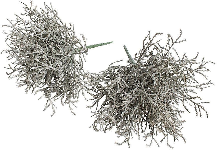 Kunstzweig Calocephalus (Silberkörbchen), Botanic-Haus, Höhe 22 günstig online kaufen