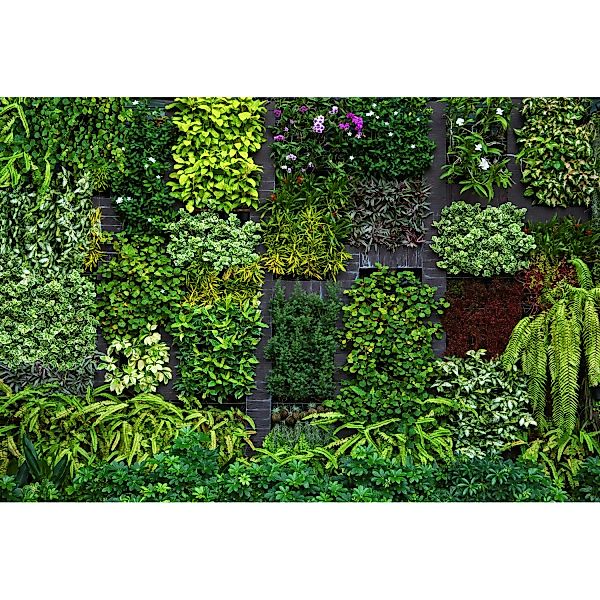 Erismann Fototapete Vlies Hanging Garden Grün 400 cm x 270 cm günstig online kaufen