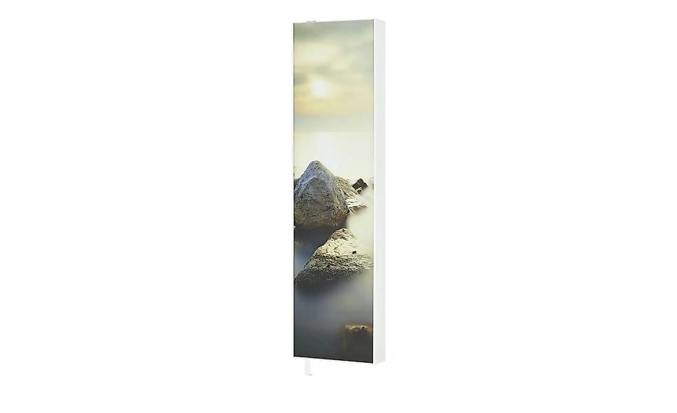 Mehrzweckschrank  Pictura ¦ grau ¦ Maße (cm): B: 48 H: 191 T: 20.0 Garderob günstig online kaufen