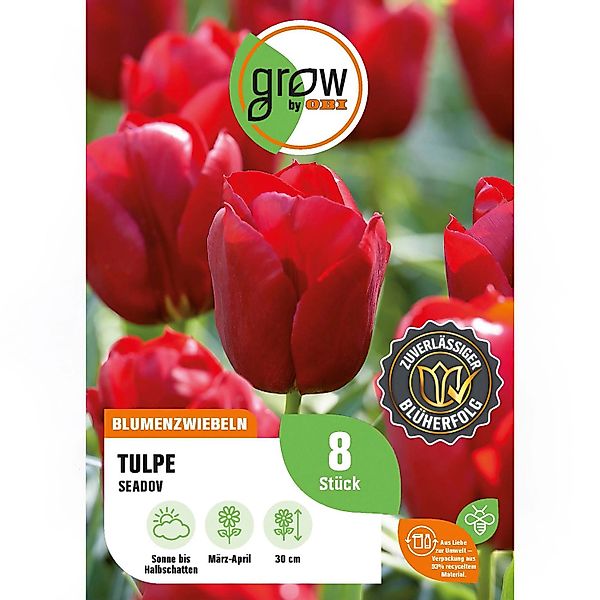GROW by OBI Tulpe Seadov Rot 8 Stück Tulipa triumph Seadov günstig online kaufen